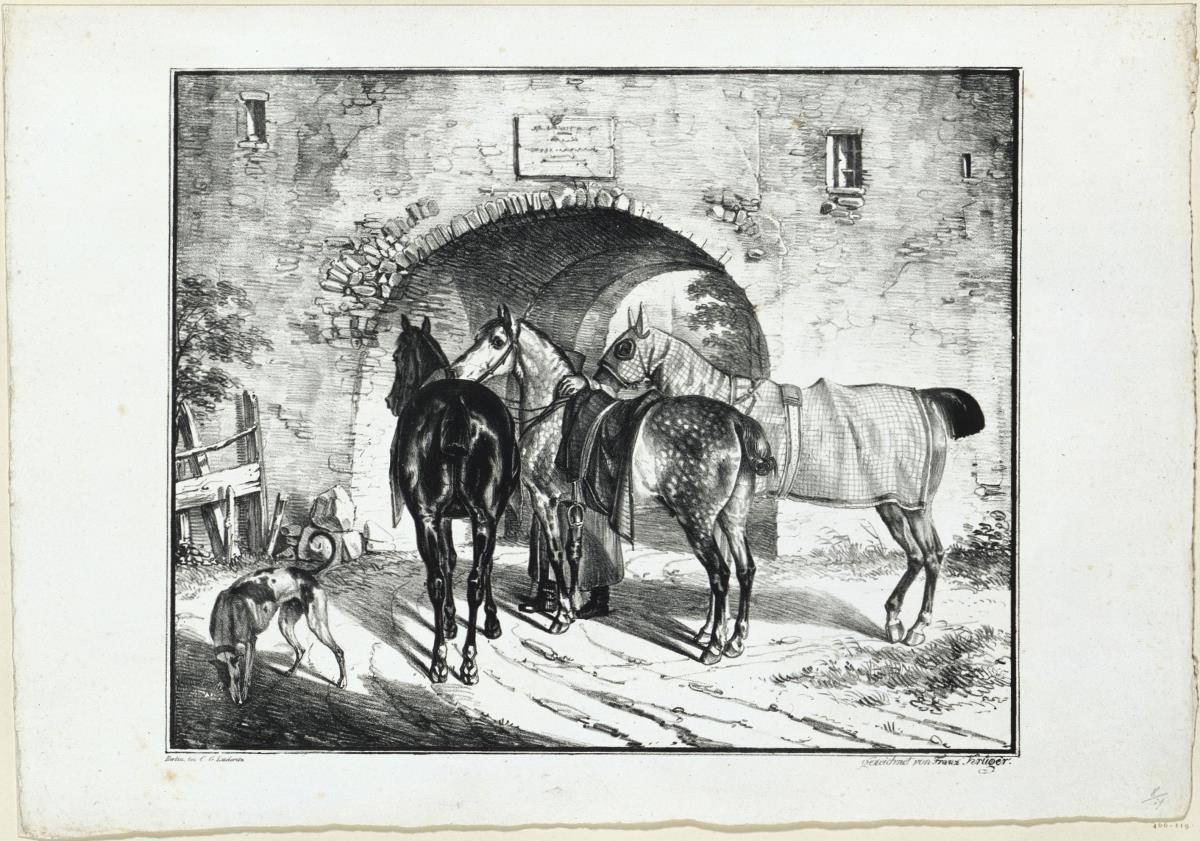Drei Pferde am Torweg
