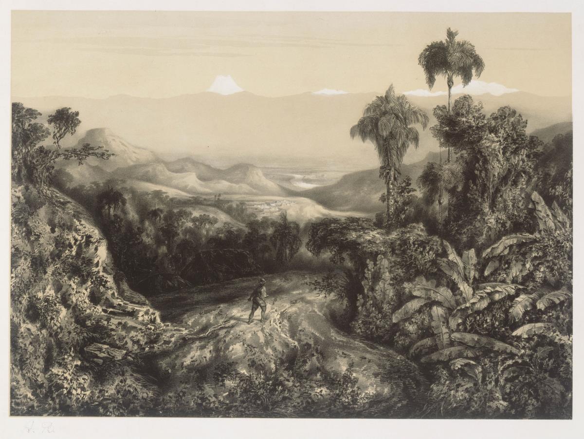 "Aus den Urwäldern des Magdalenenstroms" (Buch mit 13 Blatt Lithographien), Blatt 5