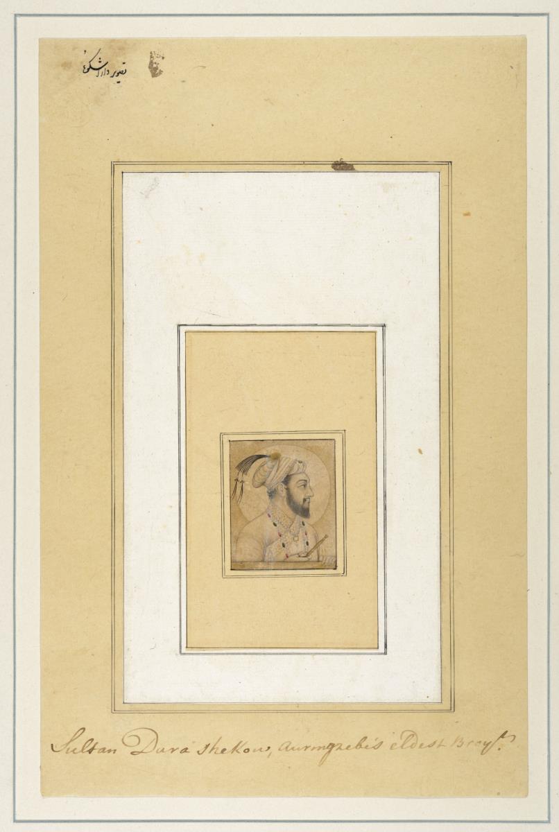 Porträt des Sultan Dara Shikoh