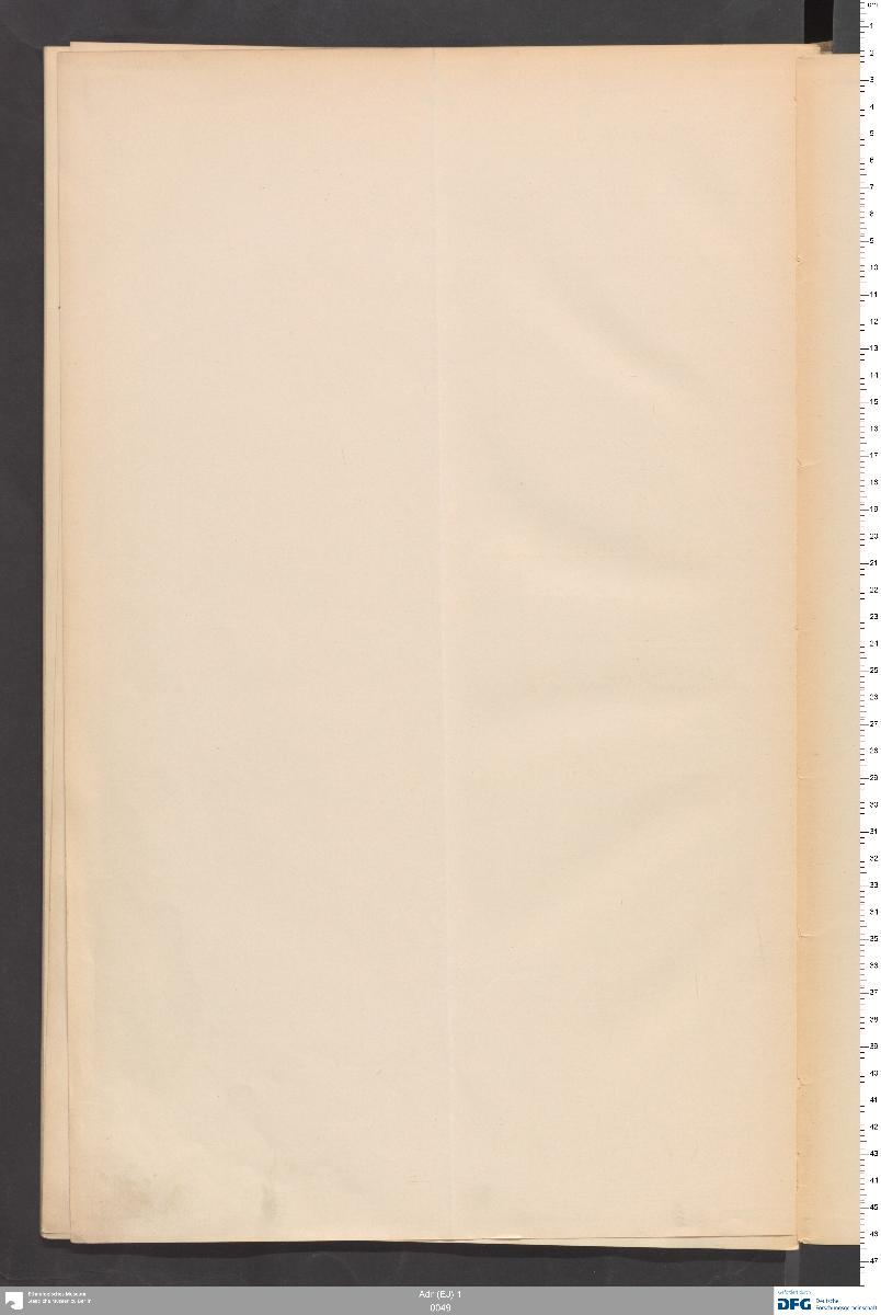 Adr (EJ) 1