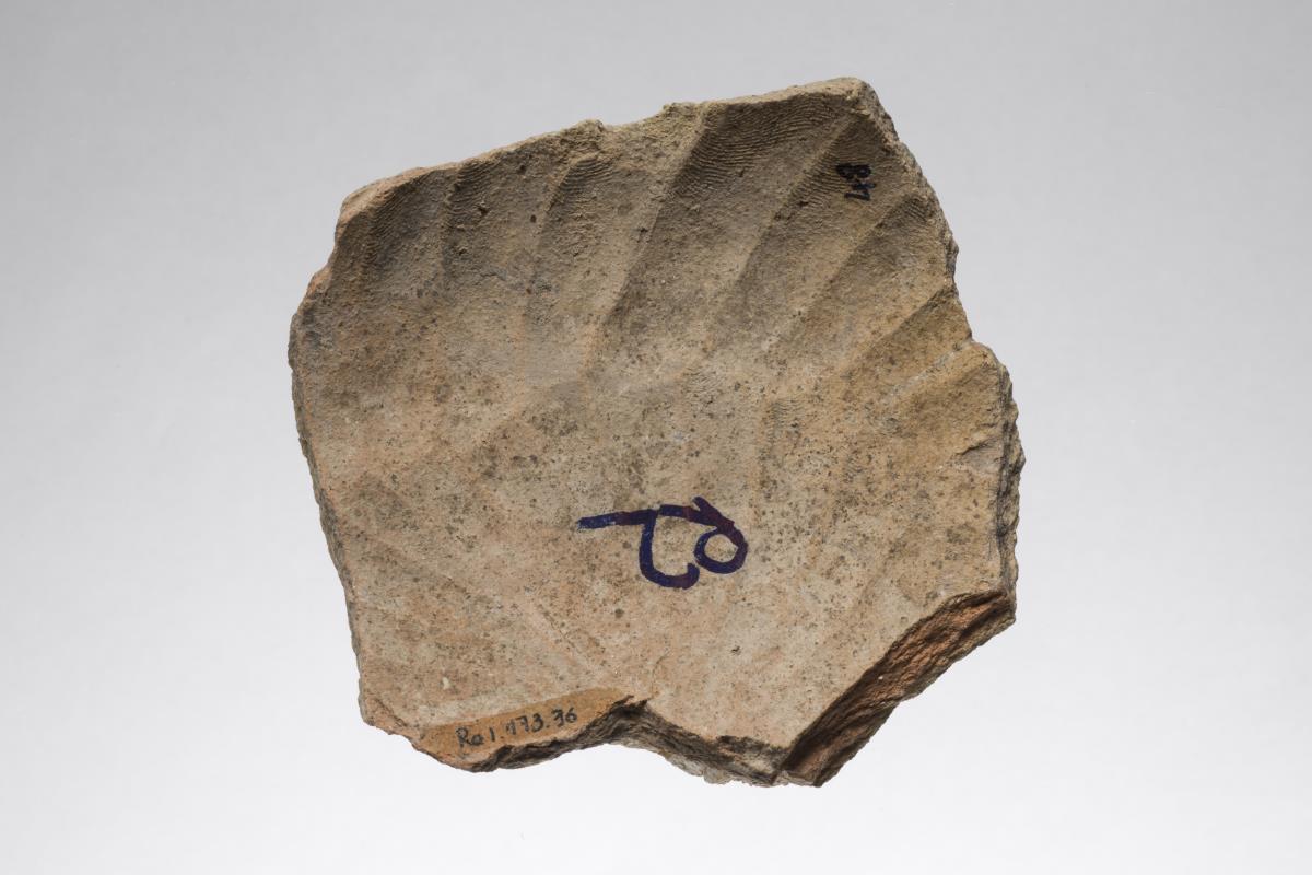 Ra I. 173.36