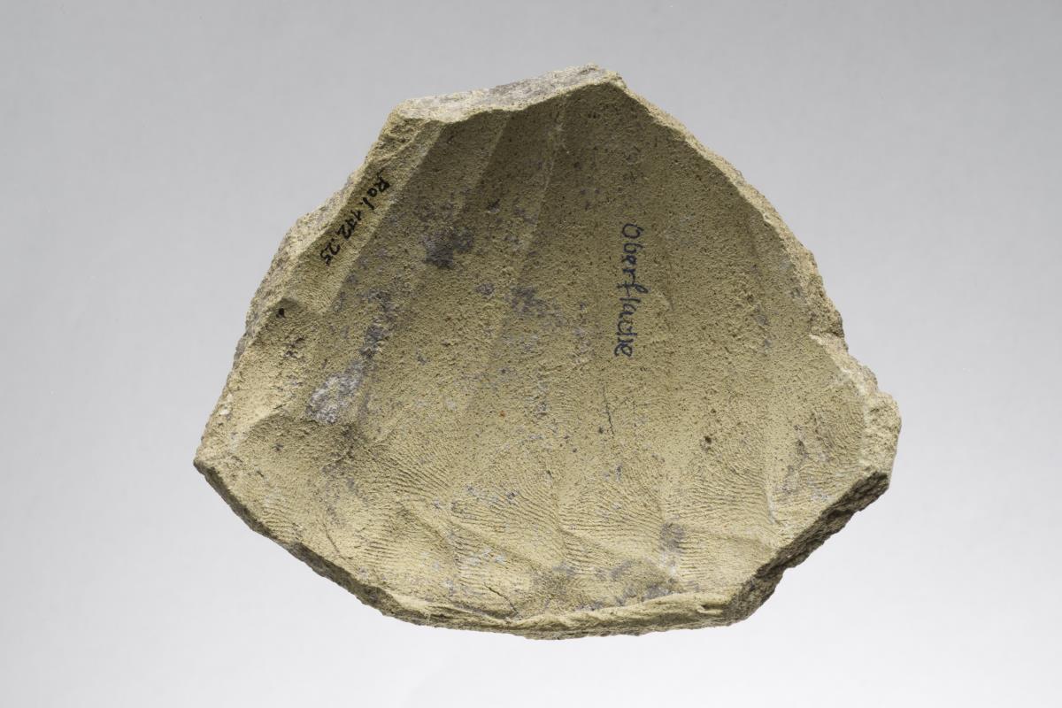 Ra I. 172.25