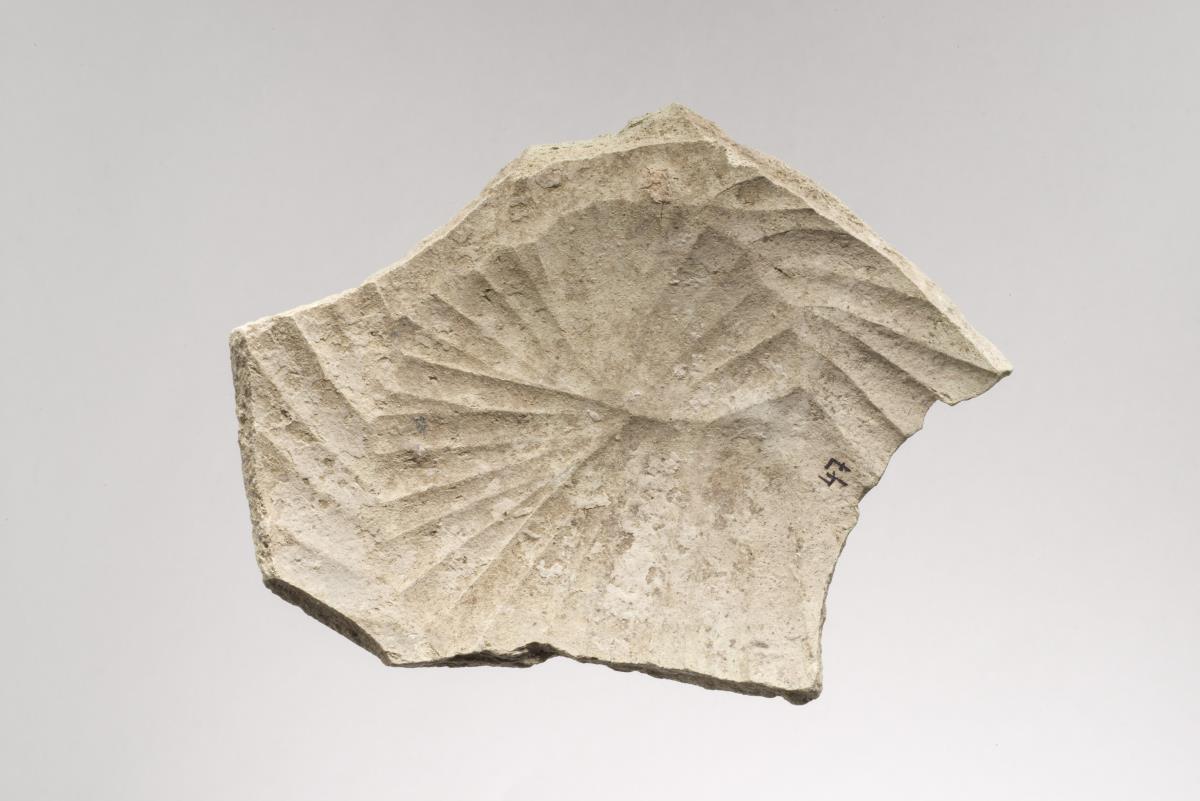 Ra I. 164.1