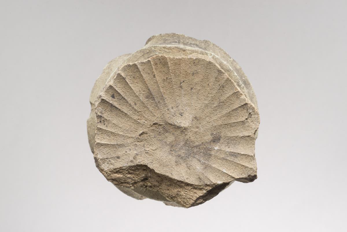 Ra I. 164.2