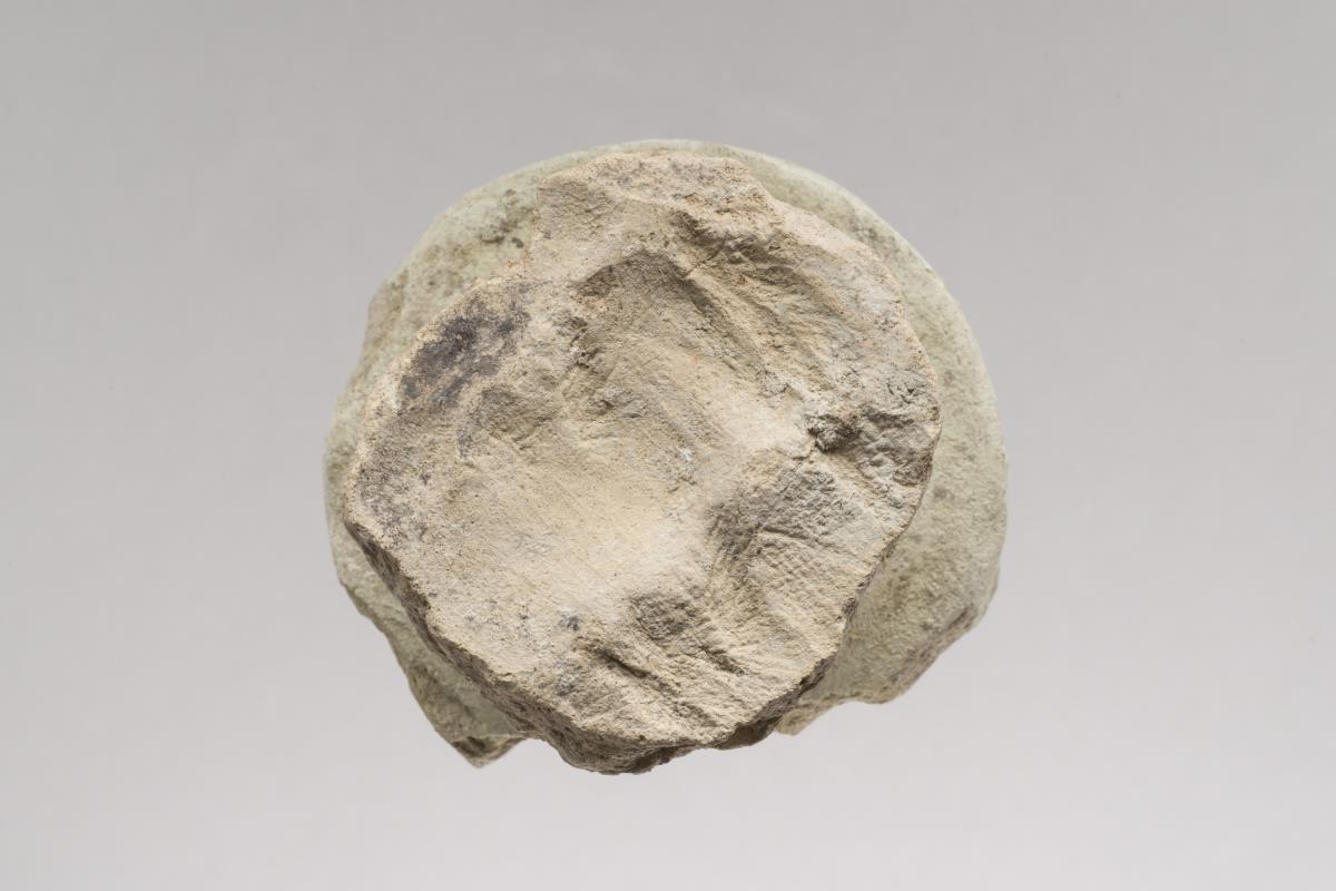 Ra I. 164.3