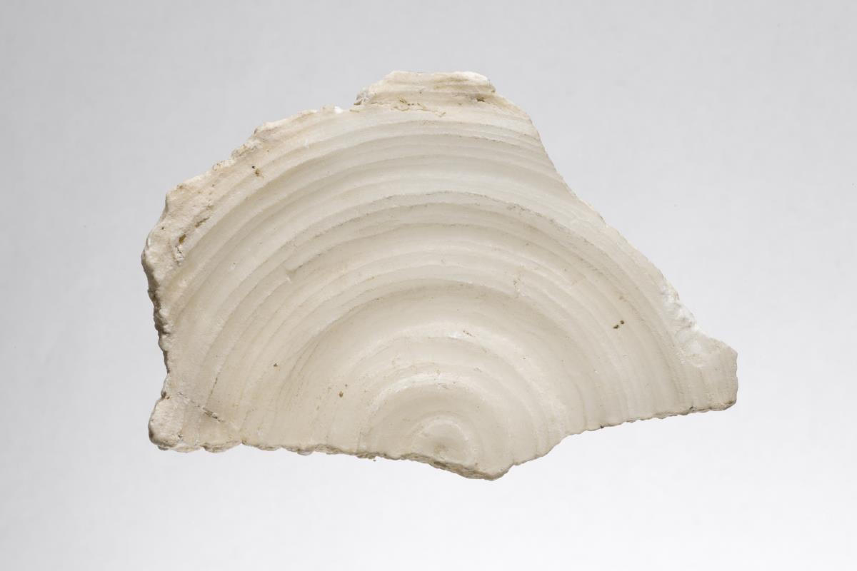 Kt I. 394.20