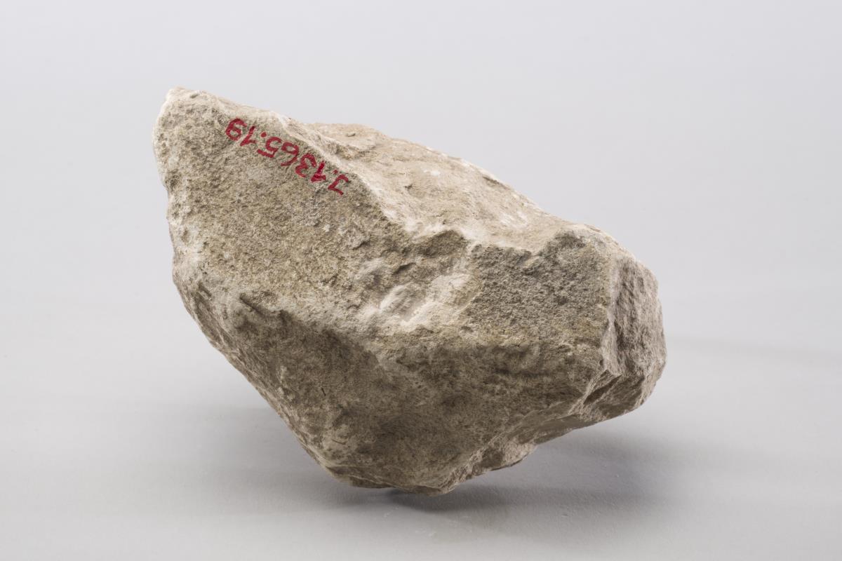 I. 1365.19