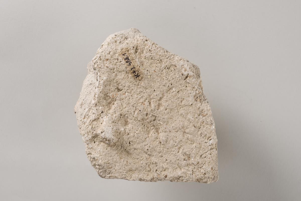 Kt I. 488