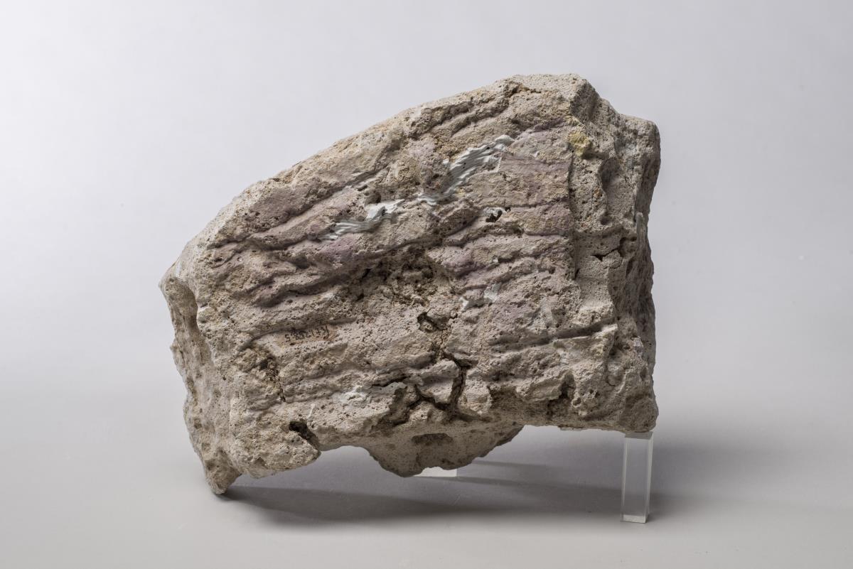 Kt I. 258.5