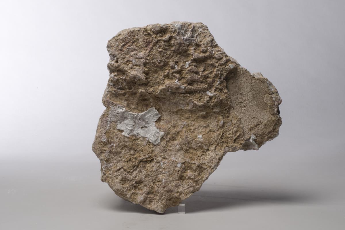 Kt I. 344.3