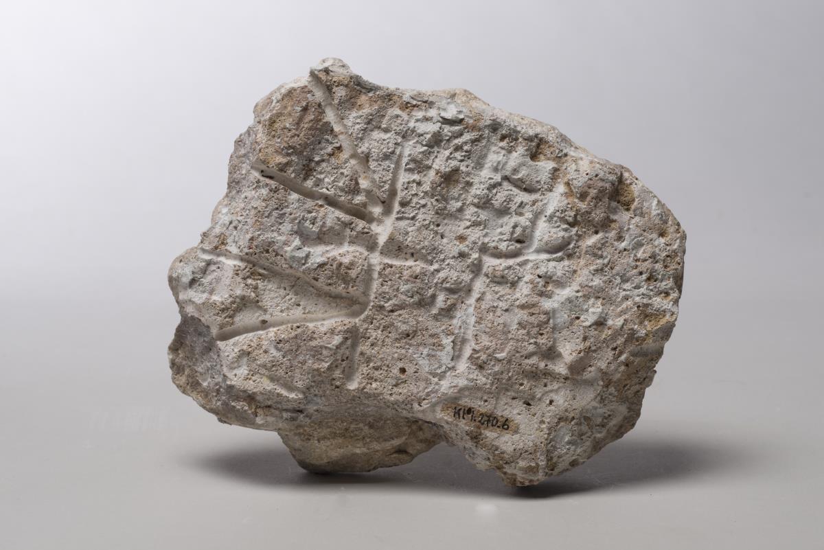 Kt I. 270.6