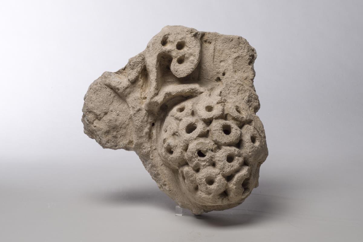 Kt I. 344.3