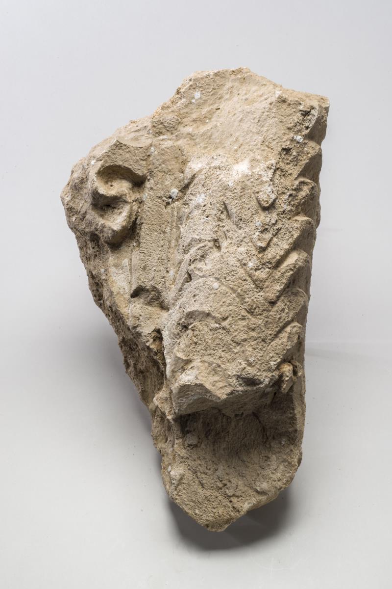 Kt I. 107