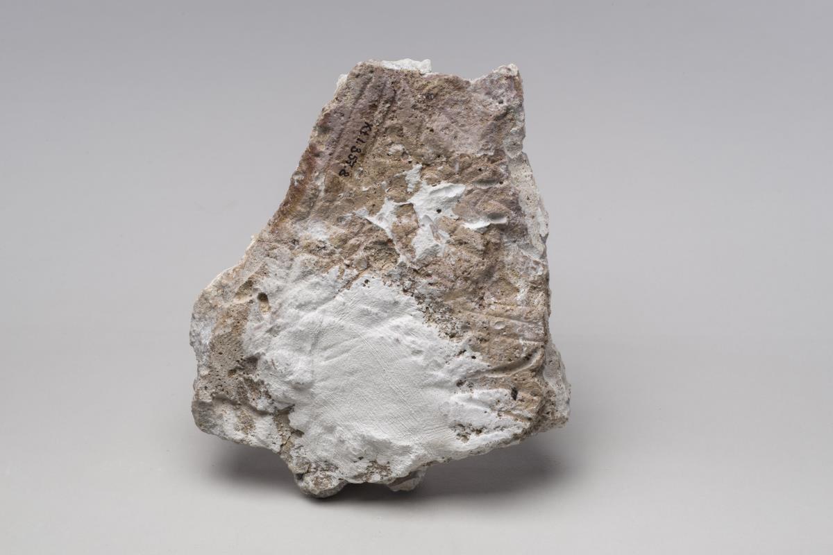 Kt I. 357.8