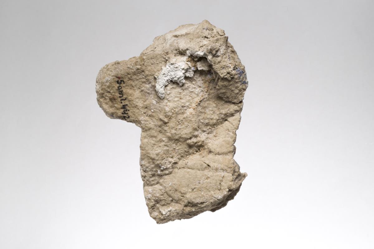 Sam I. 442