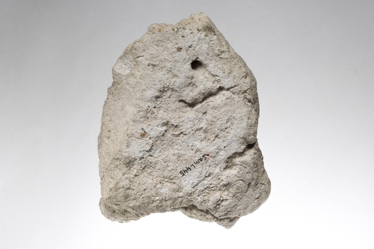 Sam I. 445