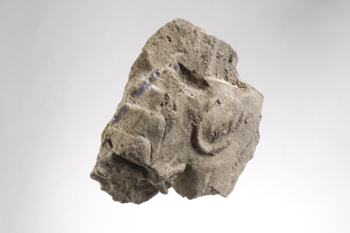 Sam I. 446