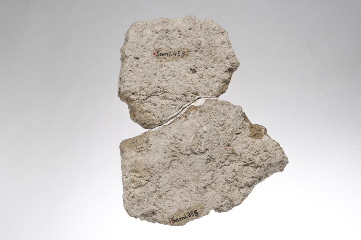 Sam I. 453