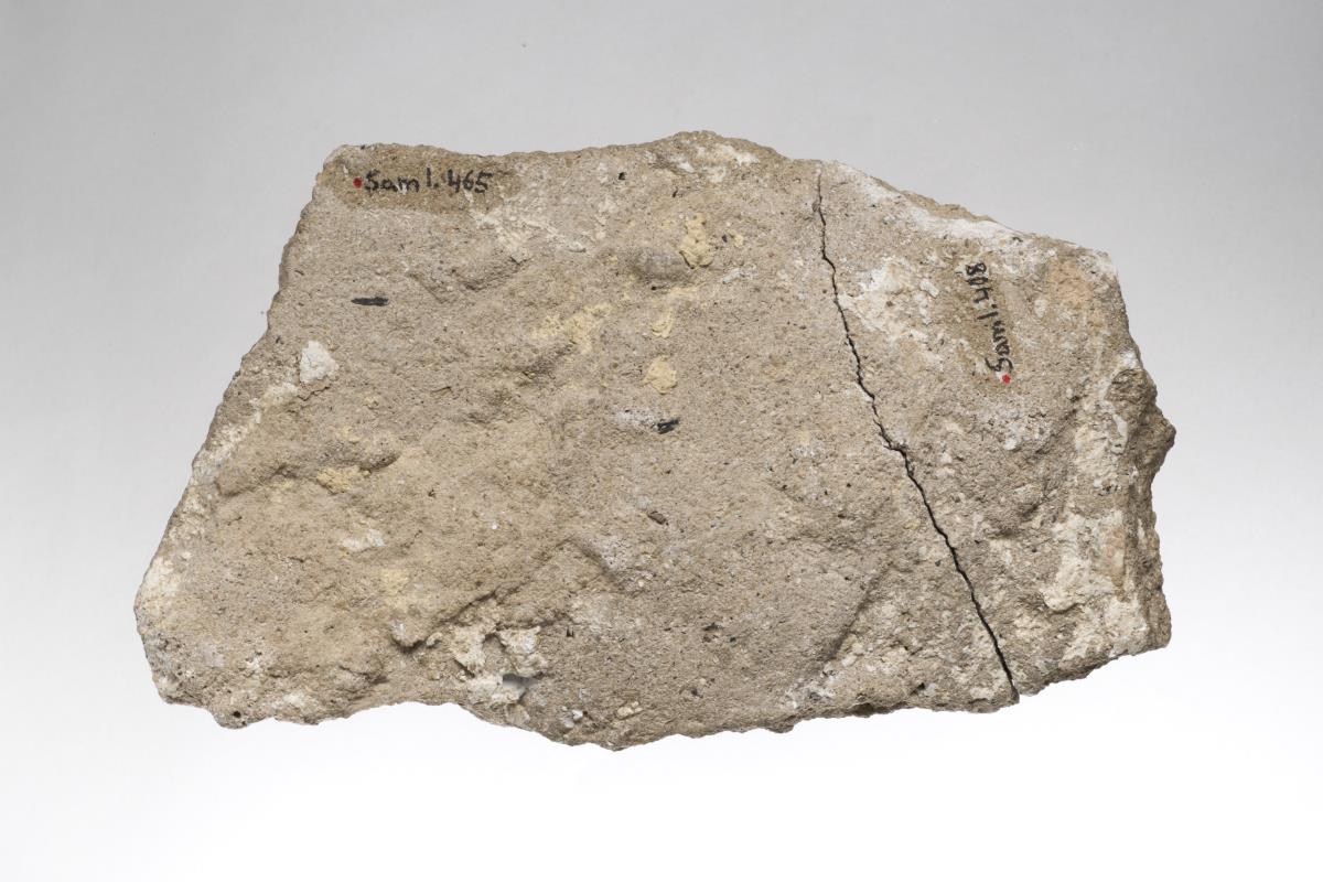 Sam I. 465