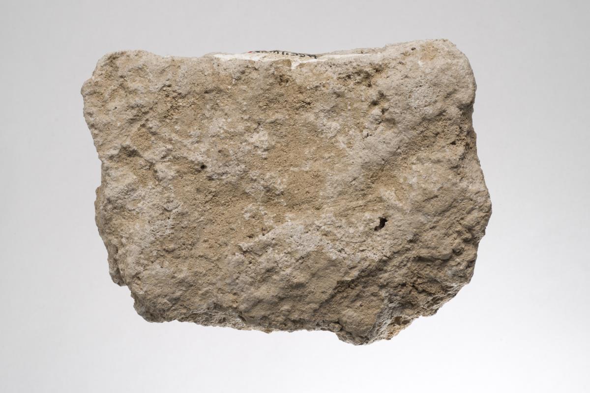 Sam I. 359
