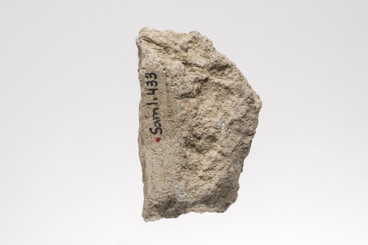 Sam I. 433