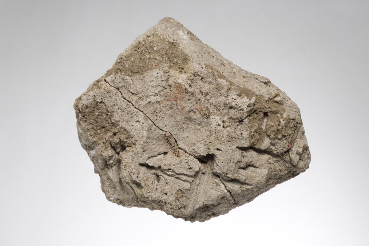 Sam I. 459