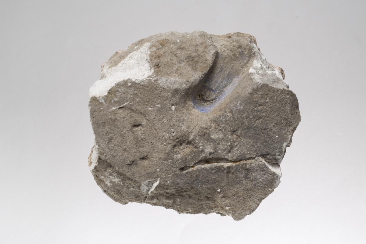 Sam I. 437