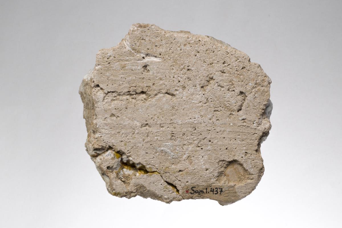 Sam I. 437