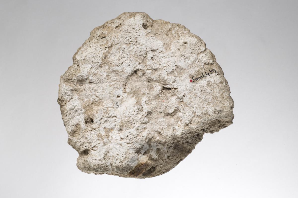Sam I. 439