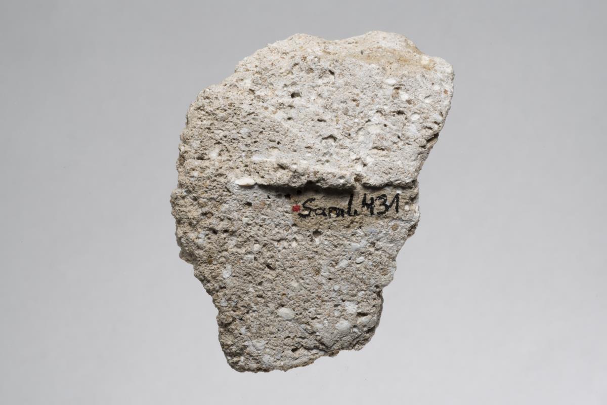 Sam I. 431