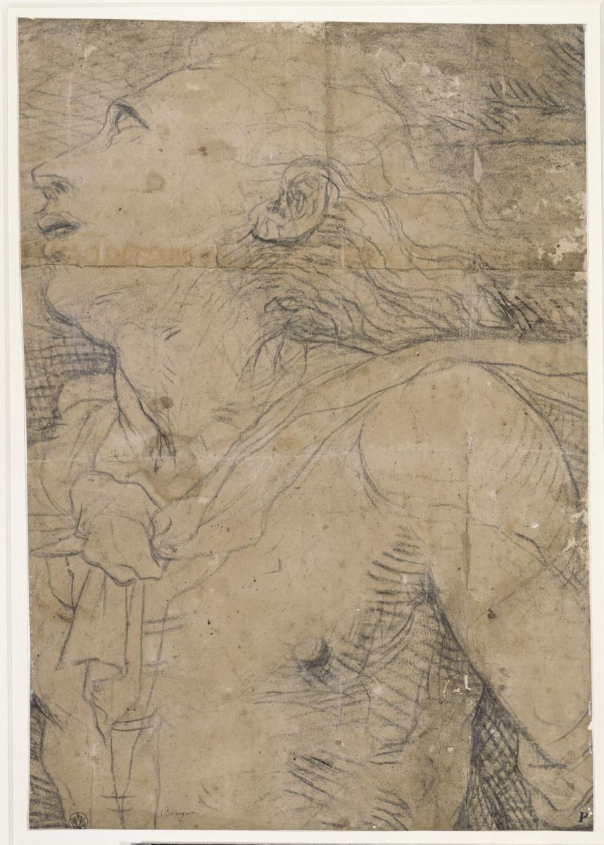 Aufblickender Jüngling, (Halbfigur), Fragment eines Kartons?