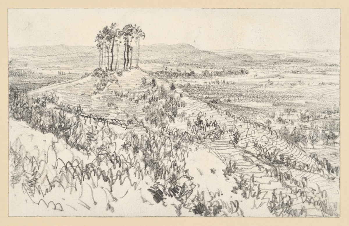 Blick in eine weite Landschaft mit Baumgruppe auf einem kahlen Hügel