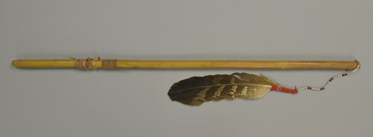 IV B 7858