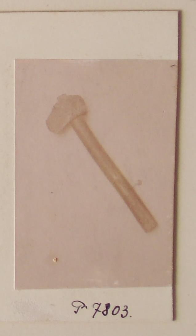 N (74 P) 62/2007,53f