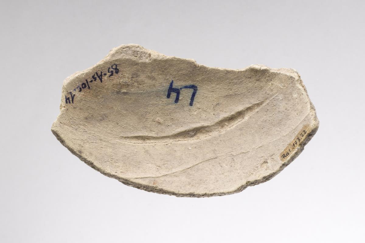 Ra I. 173.22