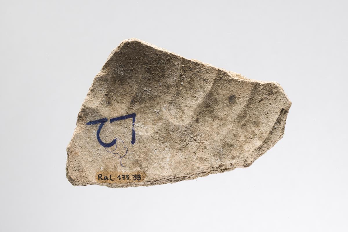 Ra I. 173.33