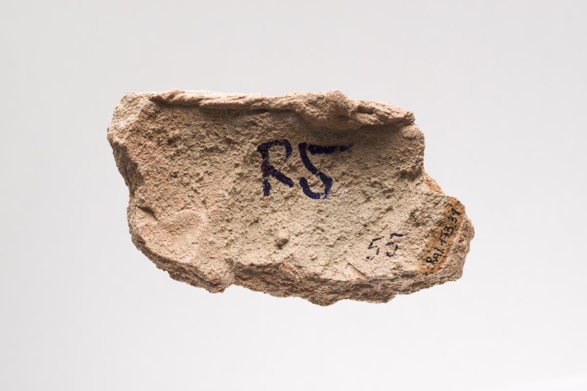 Ra I. 173.31