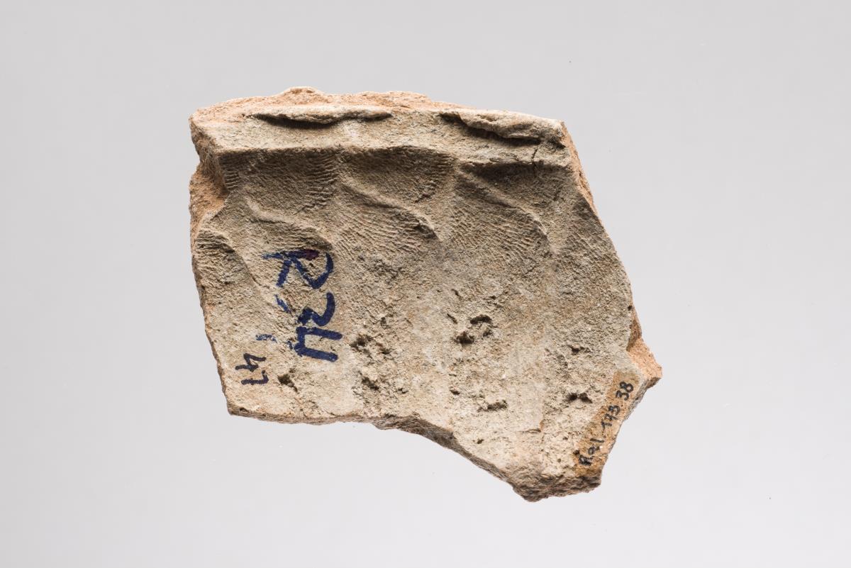 Ra I. 173.38