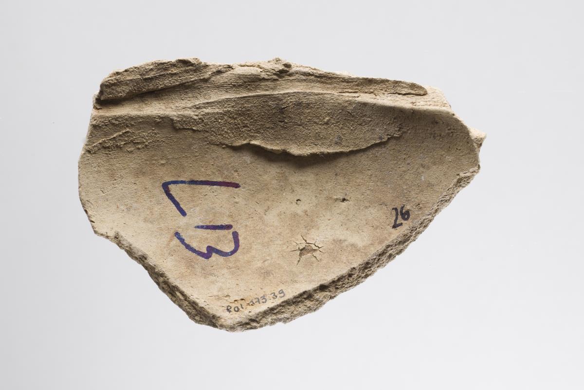 Ra I. 173.39