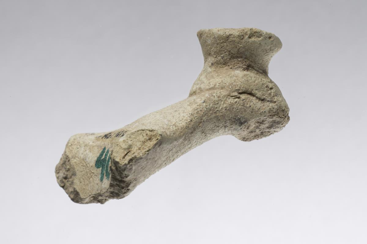 Ra I. 167.12