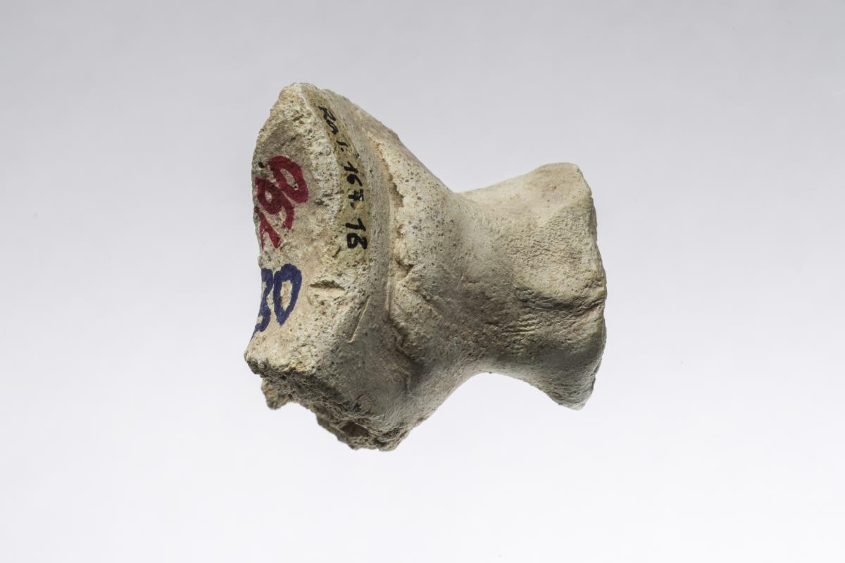 Ra I. 167.18