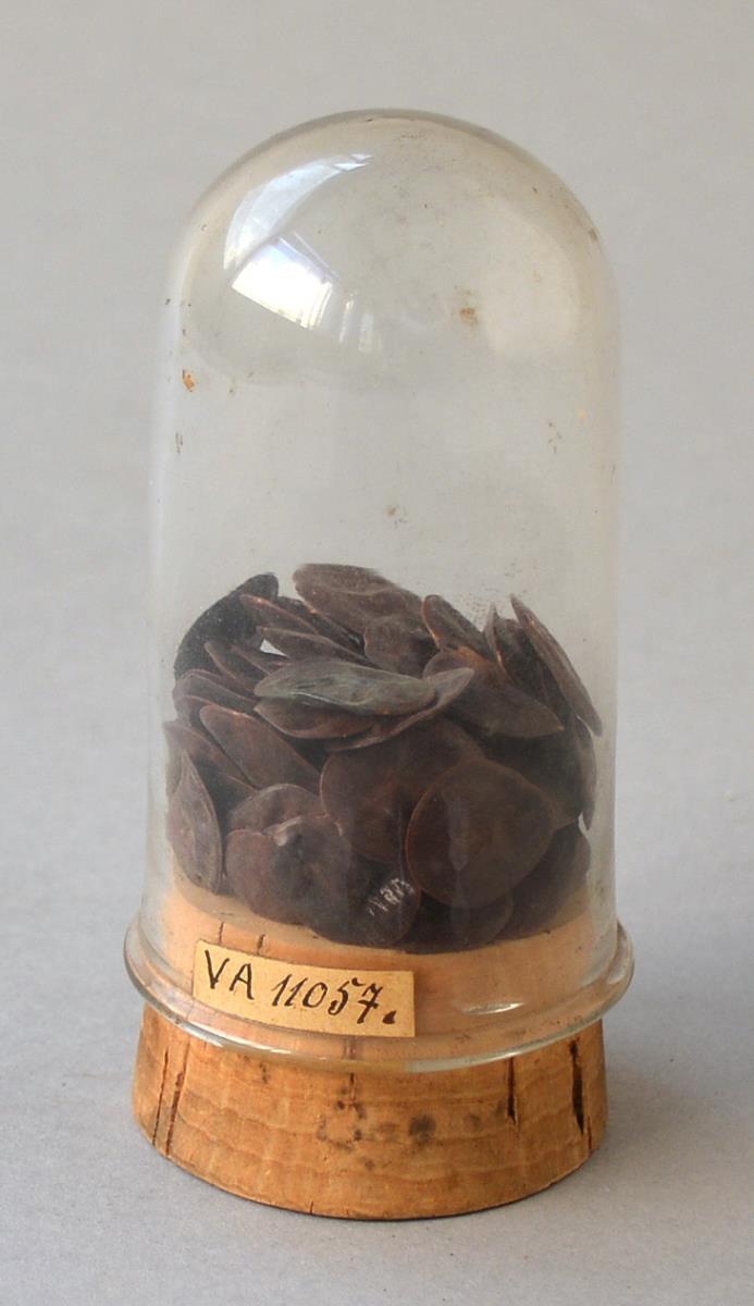 V A 11057