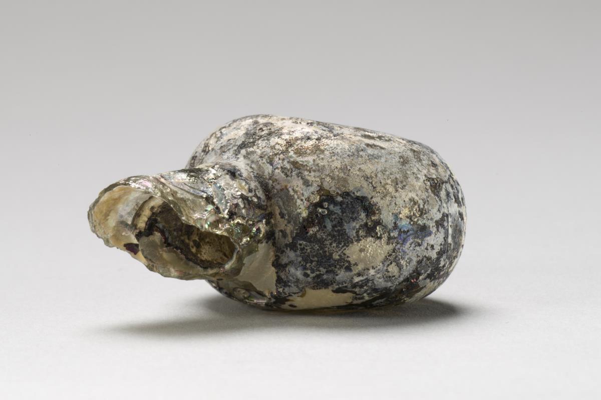 Kt I. 188.6