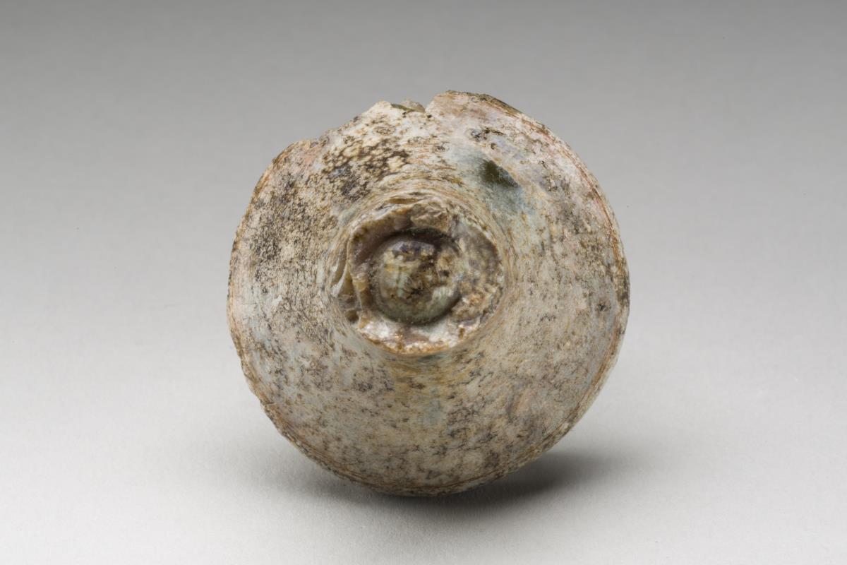 Kt I. 192.7