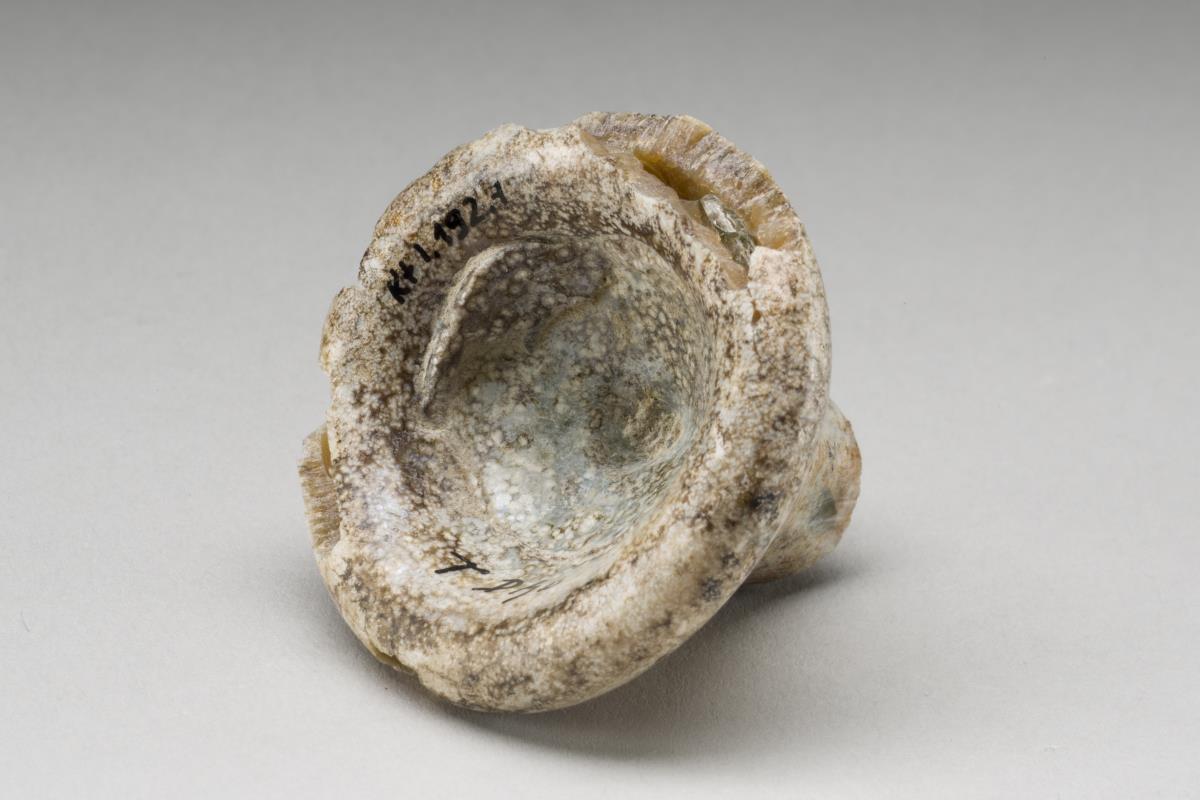 Kt I. 192.7