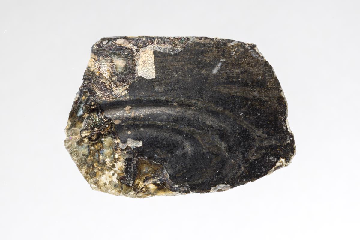 Kt I. 224.8