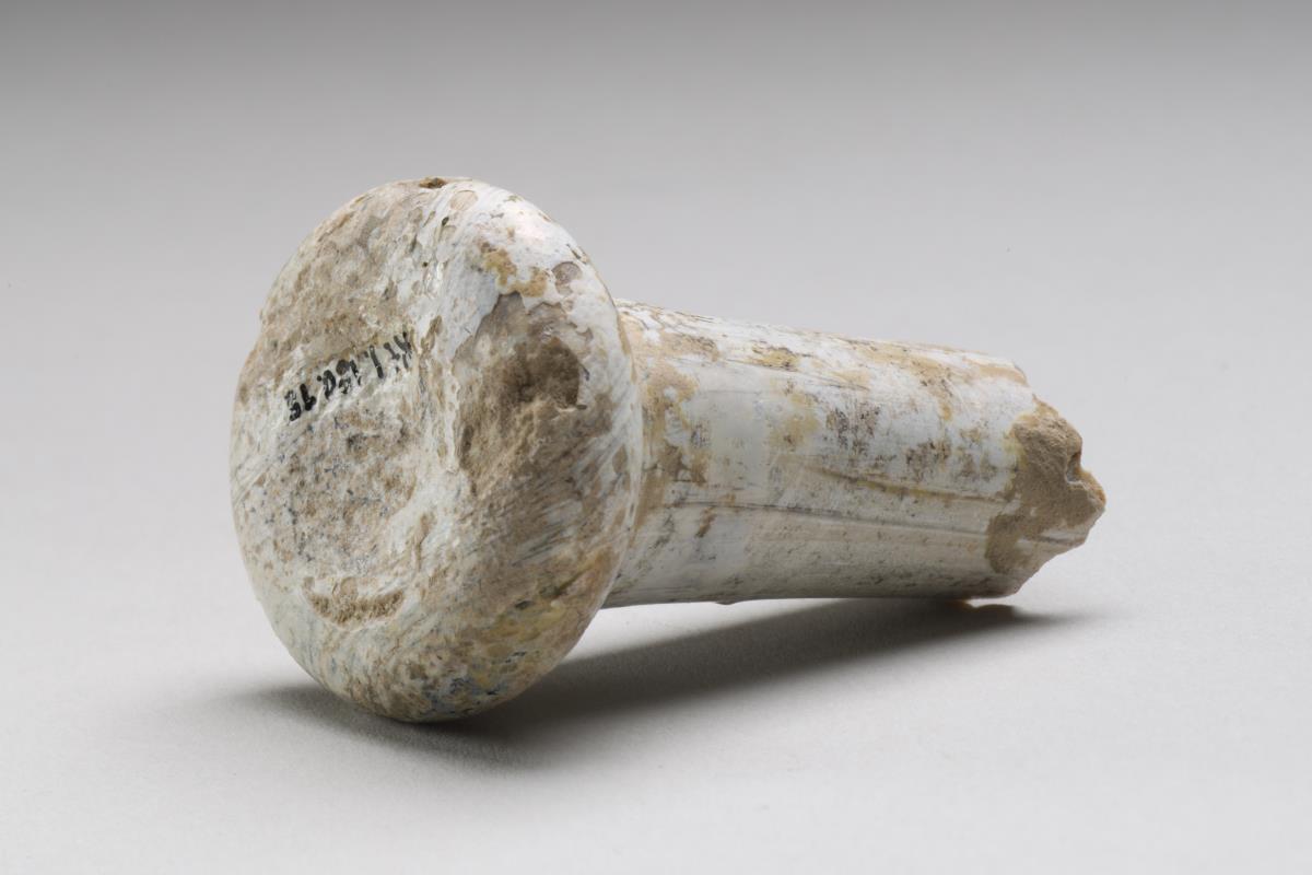 Kt I. 180.15