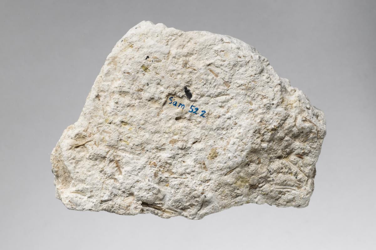 Sam I. 52.2