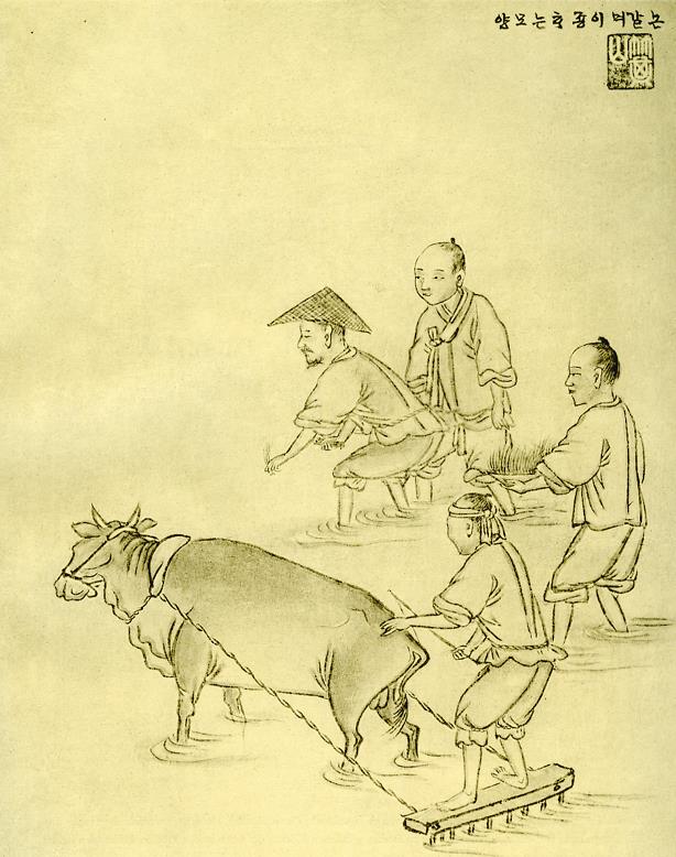 Pflügen und Reispflanzen umsetzen (논갈며이죵하는모양 non galmyǒ ijyong hanǔn moyang)