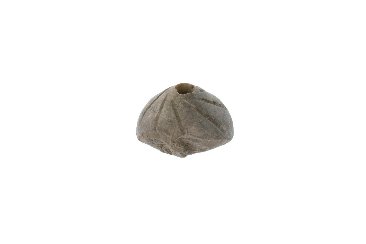 IV Ca 3161 (6)